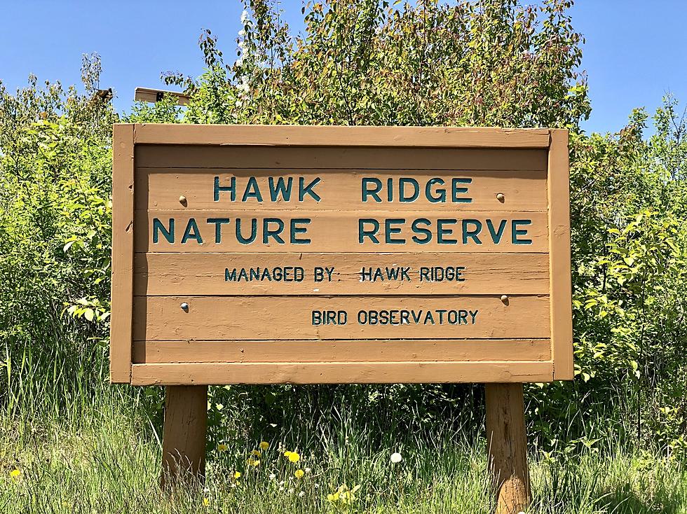 Duluth Parks + Recreation Invites Public to Review Hawk Ridge Master Plan