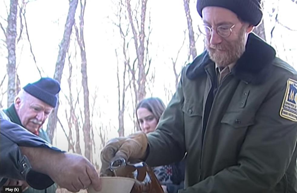 Sign Up Now For Free Maple Syrup Making Events South of Duluth