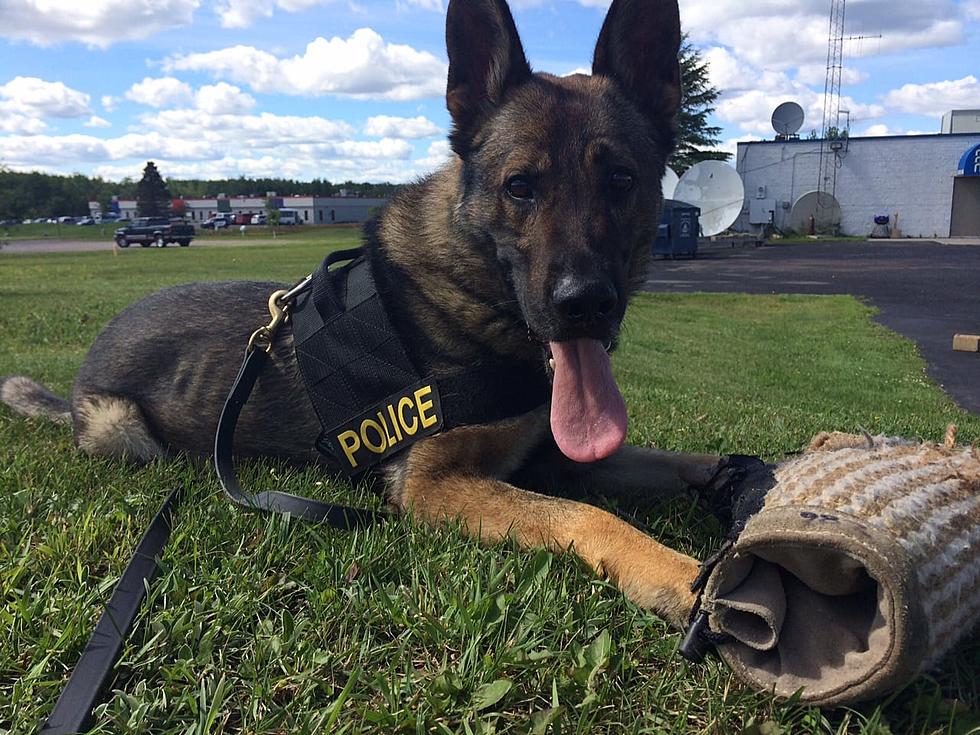 Retired Police K-9 Passes Away