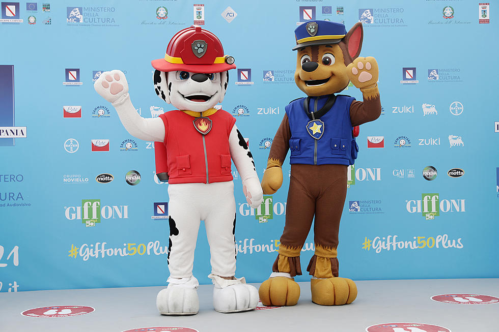 Enter To Win Tickets To See Paw Patrol Live! In Duluth This Spring