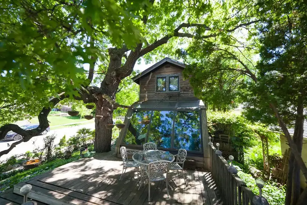 Live Like The Enchanted In The Famous Wolf House Airbnb