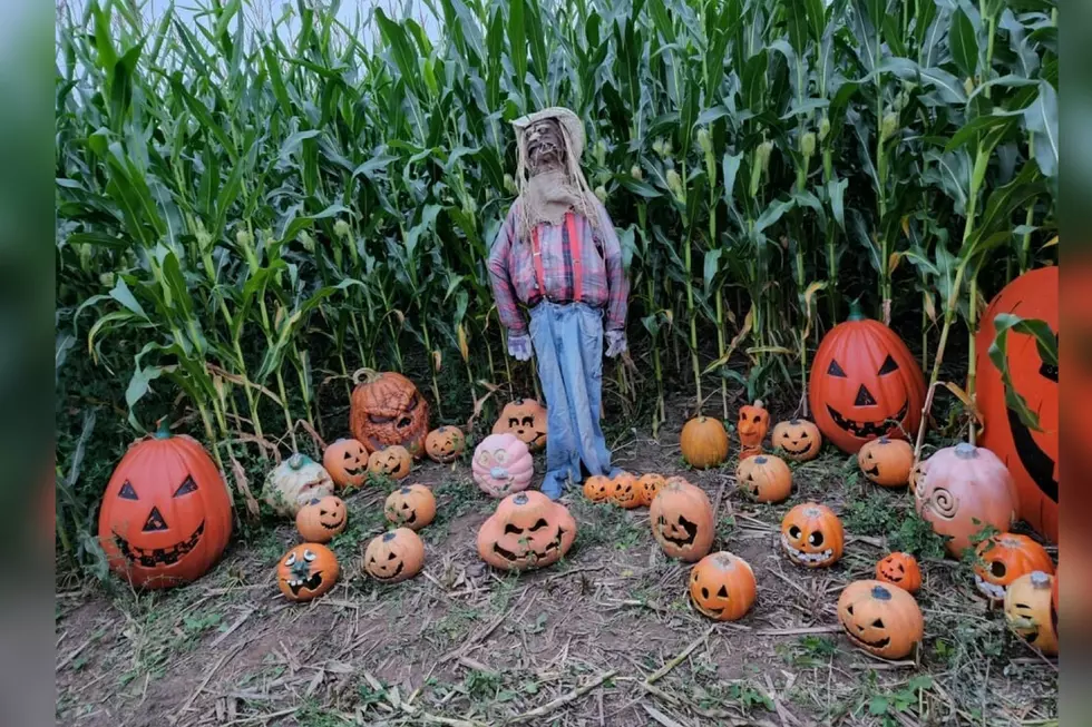 Haunted Shack & Ru-Ridge Corn Maze Hosting Fall Festival This Month
