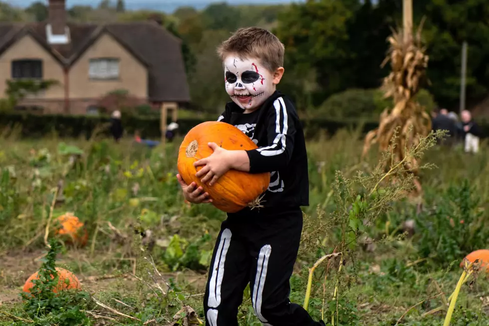 Updated Halloween Forecast Doesn’t Look Too Scary For Duluth – Superior Area