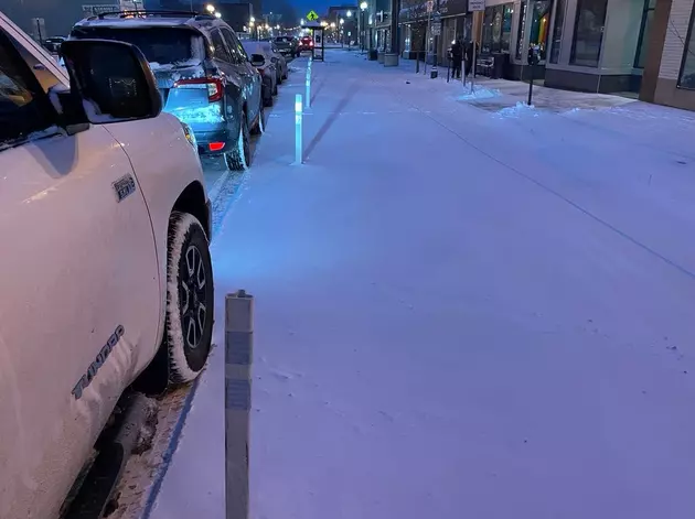 Can We Remove The Bike Lane In Lincoln Park For Winter?