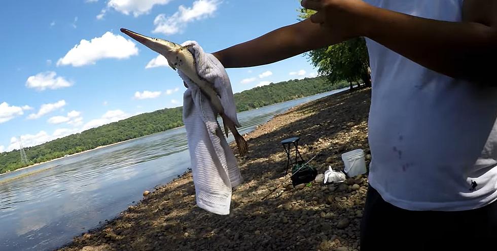 Possession Limit On Prehistoric Gar Fish Among Changes To 2023 Minnesota Fishing Regulations