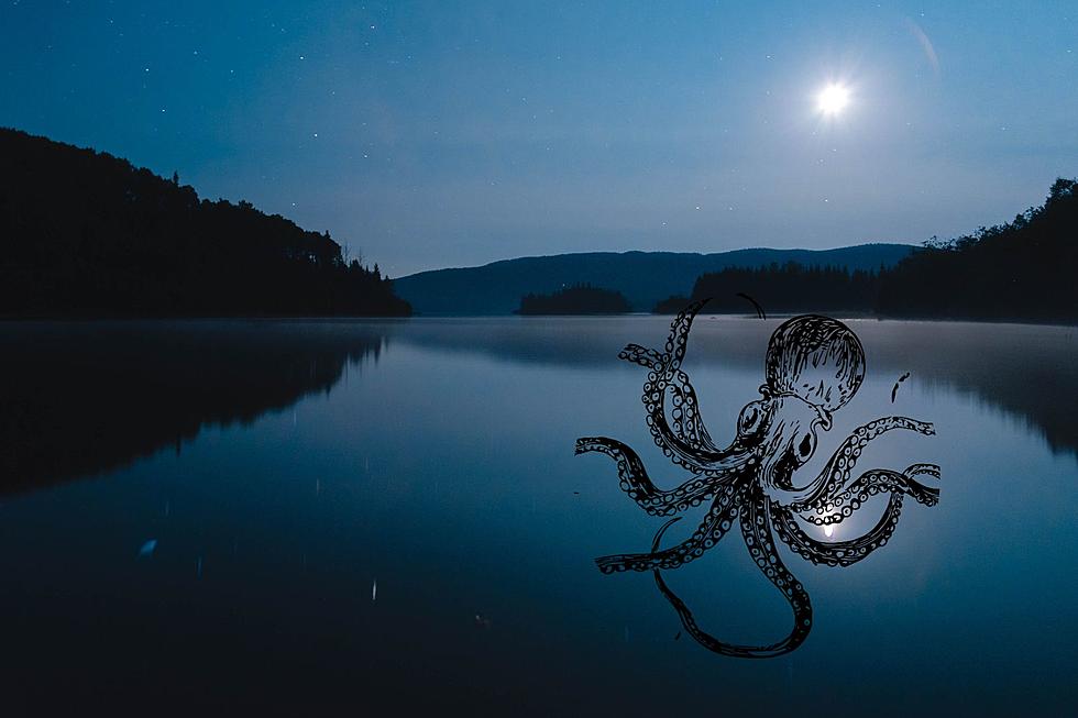 Devil’s Lake Wisconsin Squid-Like Monster Sighted As Recently As 2017