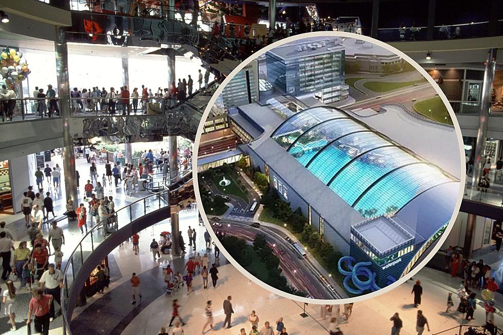 Mall Of America Shares New Details On Indoor Waterpark Project