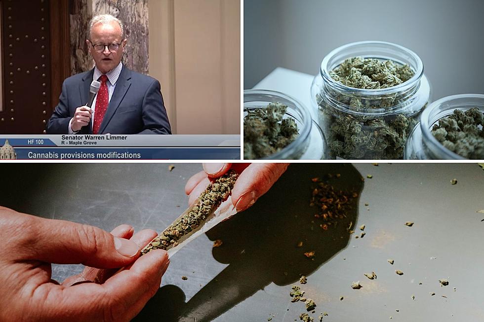 Minnesota Lawmaker Roasted On Twitter Over Marijuana Amount Flub