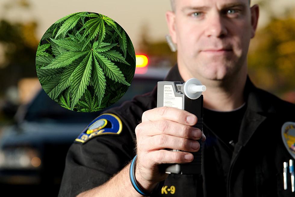 Will Minnesota See Marijuana Breathalyzers Used?