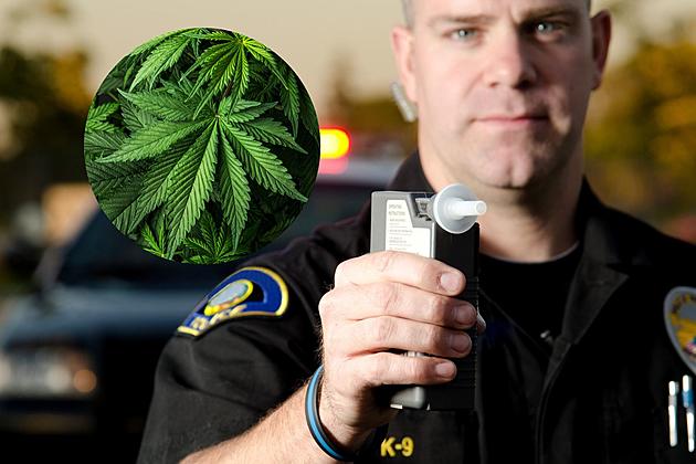 With Marijuana Legalization Coming To Minnesota, Will Marijuana Breathalyzers Be Used?