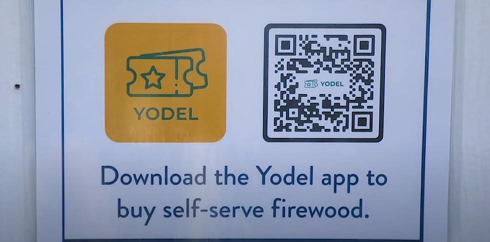 Yodel App Now Used To Purchase Firewood + More In MN State Parks