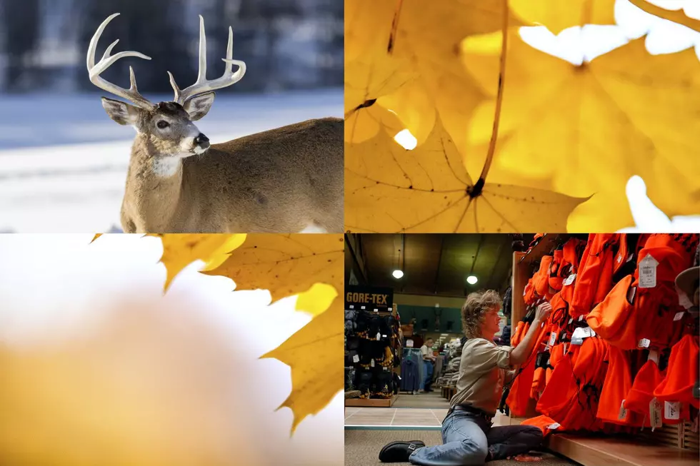 Major Minnesota 2023 Deer Hunting Regulation Changes You Need To Know