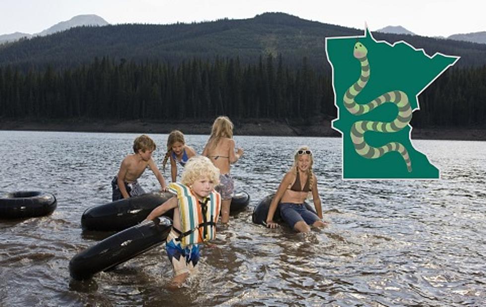 These Are The Four Most Snake-Infested Lakes In Minnesota