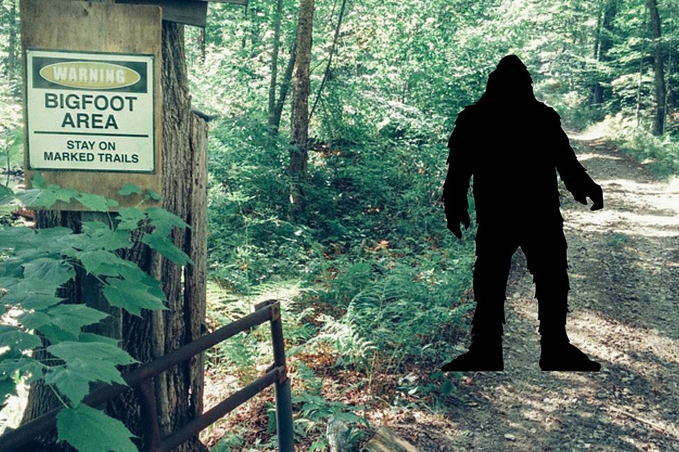 Bigfoot Sighting Reported In Secluded Part Of Wisconsin