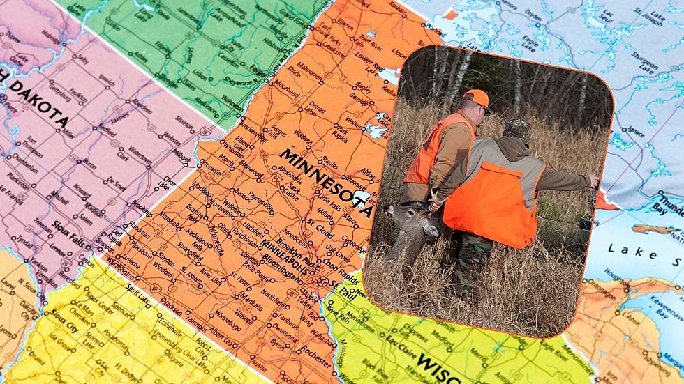 Chronic Wasting Disease Detected In A Minnesota Deer Hunting Permit Area