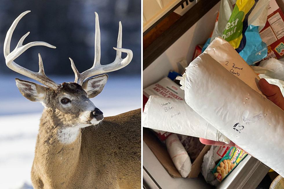 How Long Can You Keep Venison In Your Freezer? Minnesota Agency Weighs In
