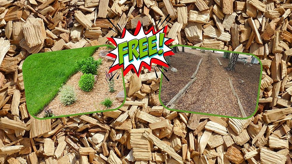 City Of Duluth Offering Free, Untreated Wood Chips To The Public