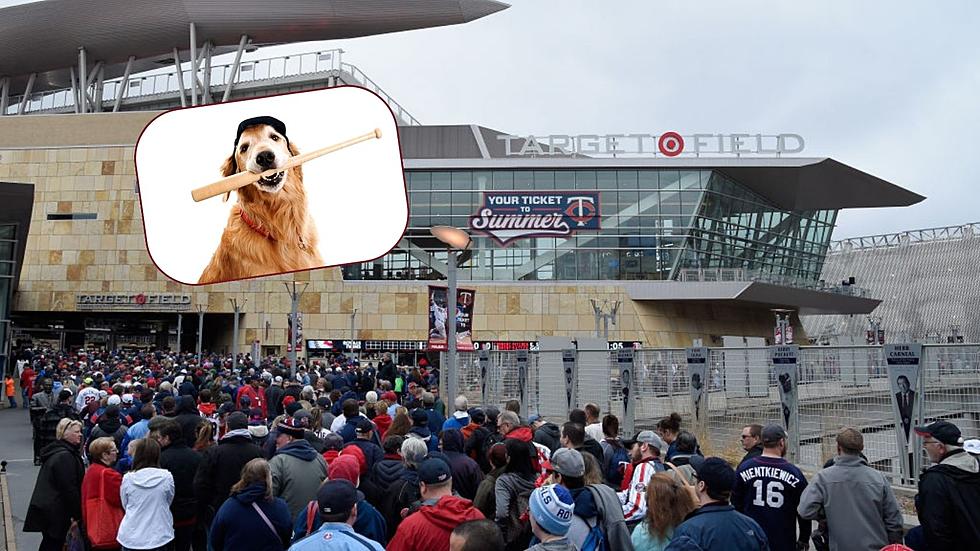 Minnesota Twins 2024 Promo Nights Include Taking Dogs To A Game