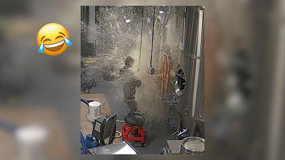 Hilarious Video Captures Beer Attacking Employee At Minnesota Brewery