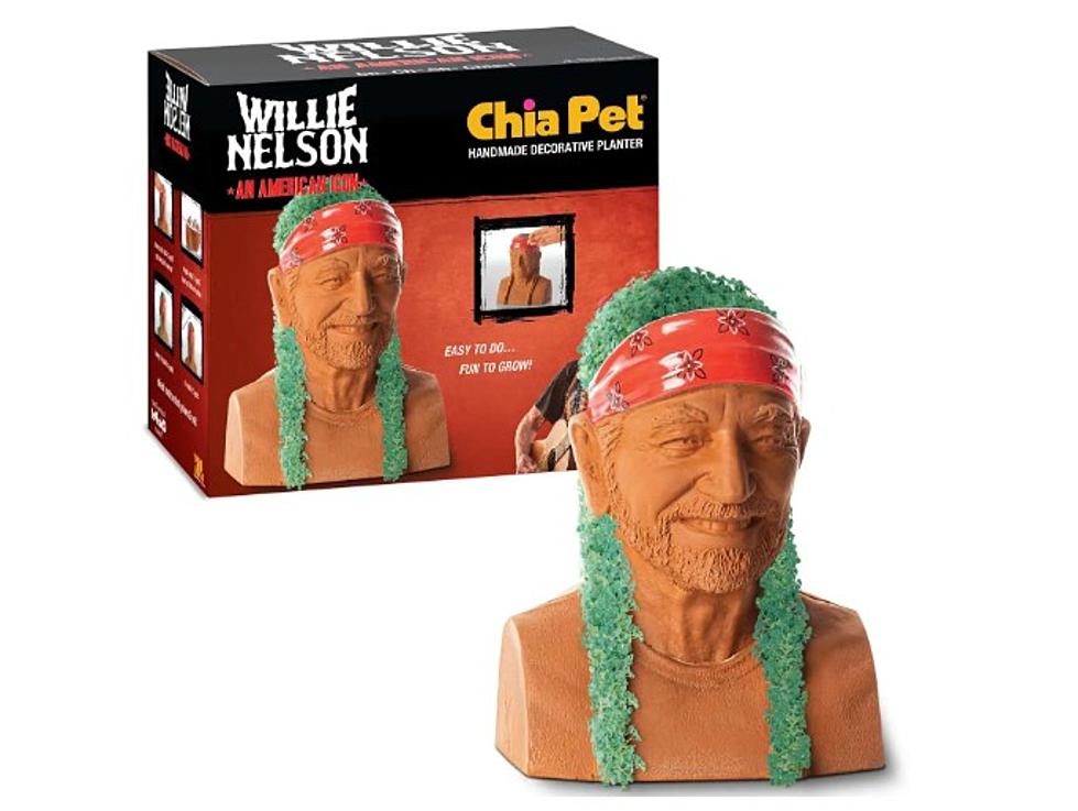 Coincidence? My Willie Nelson Chia Pet Cried On The Day Toby Keith Died