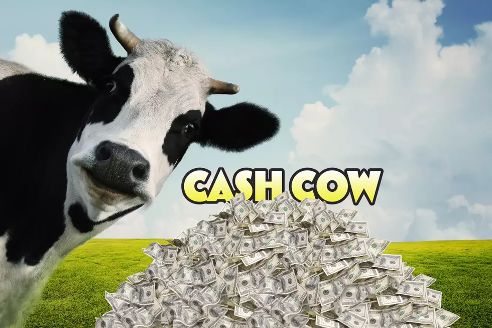 Here’s How You Can Win Up To $30,000 With the B105 Cash Cow This April