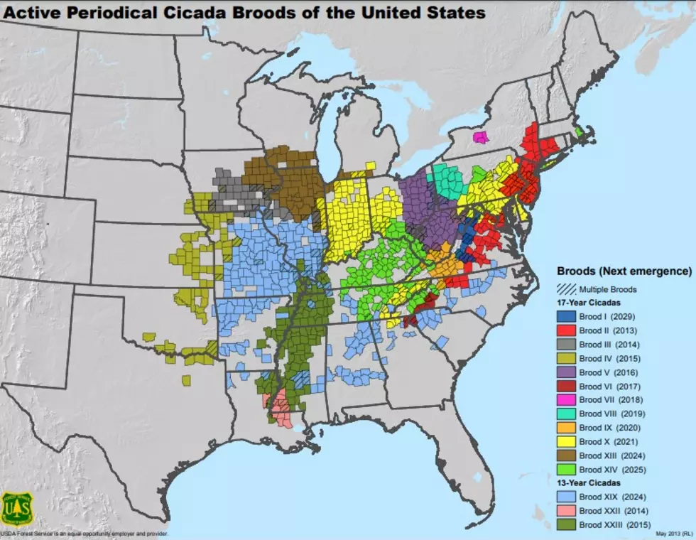 US Department Of Agriculture