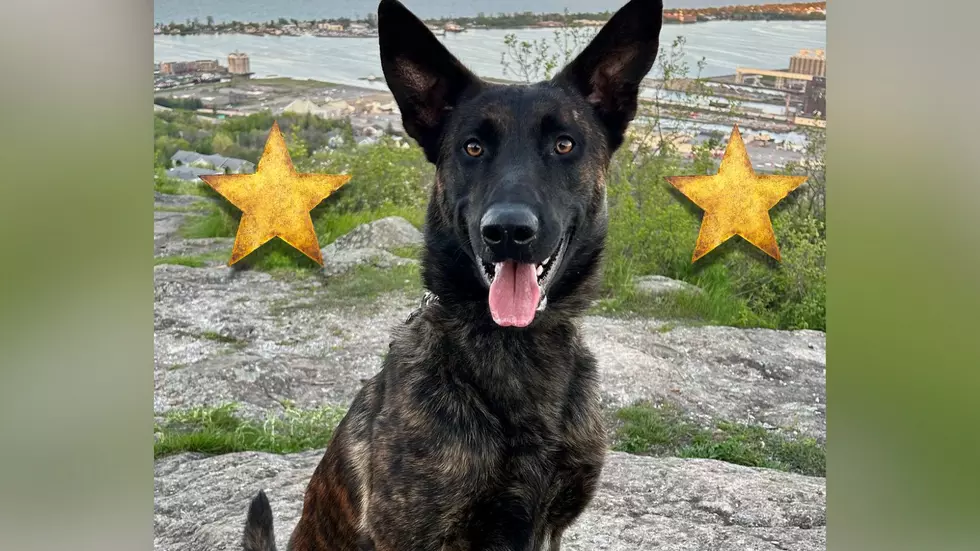Duluth Police Unleash New K9 Officer With Amazing Results