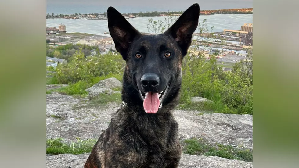 Meet Gus, The New Addition To The Duluth Police Department