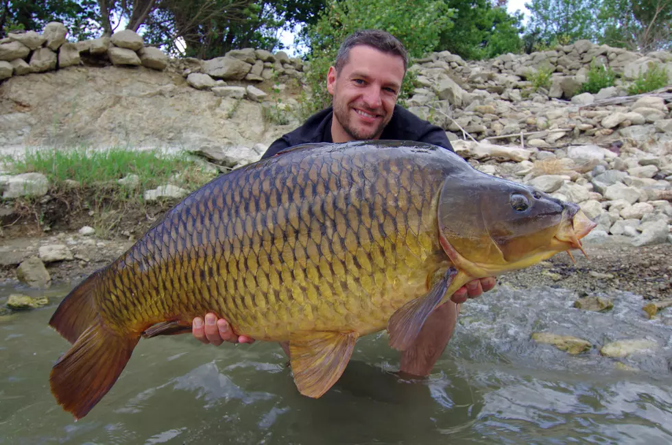 Did You Know There Is No Limit On These Fish In Minnesota?