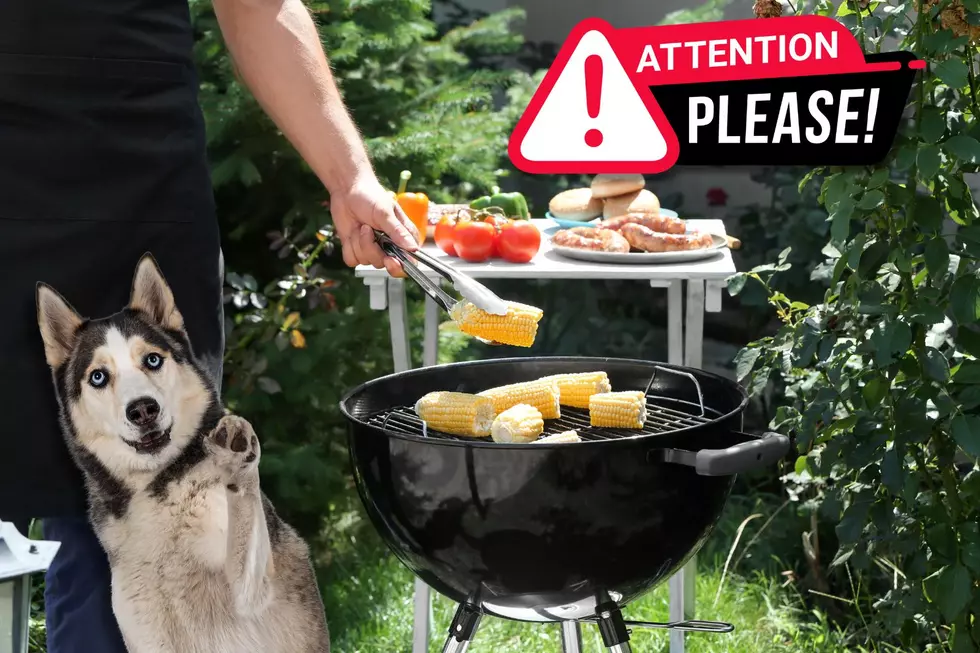A Warning To Minnesota Dog Owners For Cookouts This Summer