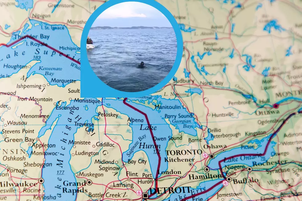 Swimmers To Embark On 411 Mile Swim From Wreck Of Edmund Fitzgerald To Detroit