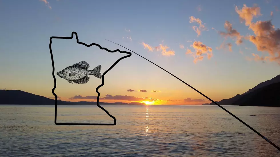 Input Needed On Several Proposed New Minnesota Fishing Regulations