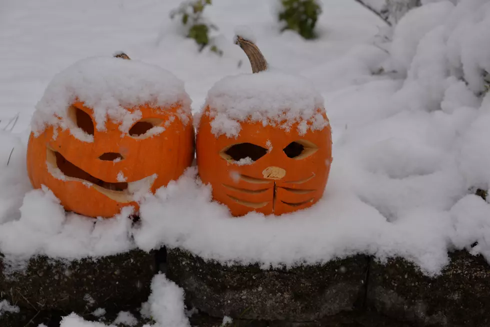 Two pumpkins covered with snow for a cold Halloween night