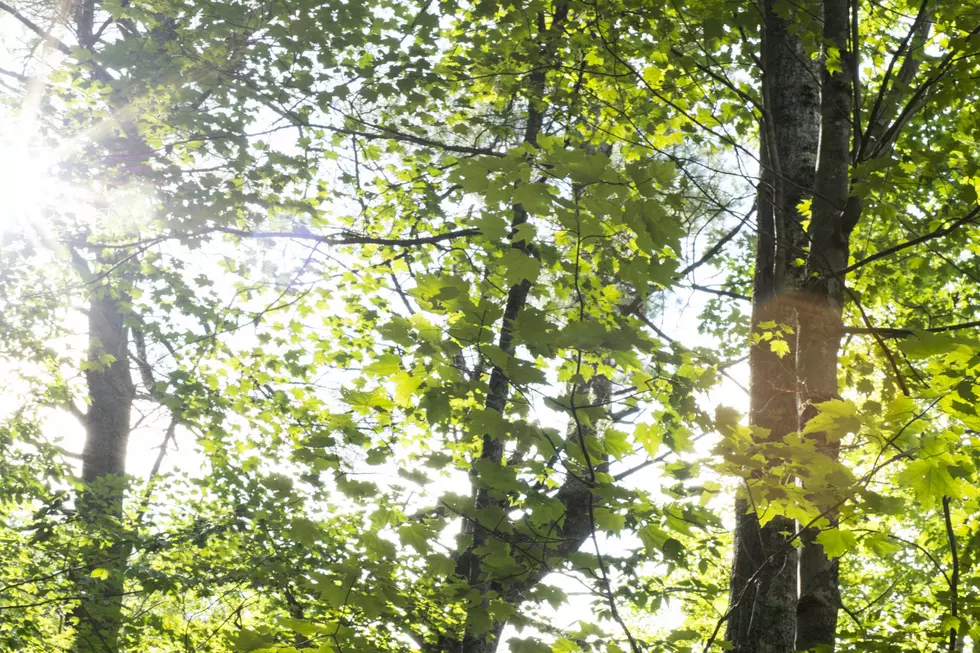 How Many Weather Records Will Be Hit This September In Duluth?