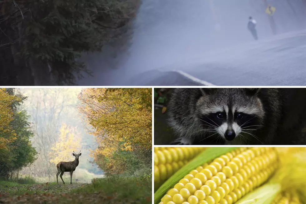 23 Signs A Brutal Winter Is On The Way For Wisconsin