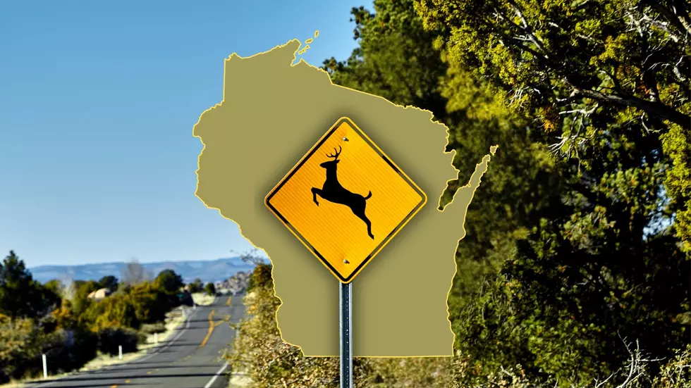 People Hit The Most Deer In These 10 Wisconsin Counties