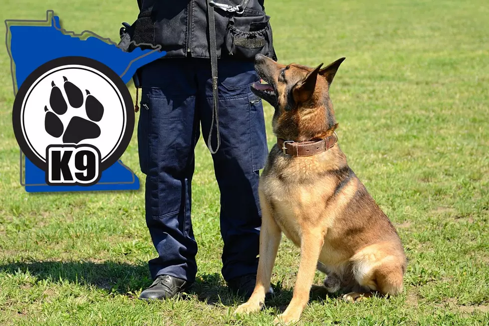 Did You Know Most K9 Police Dogs In Minnesota Come From Europe?