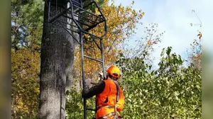 Wisconsin DNR Issues an Urgent Warning for Deer Hunters This Fall
