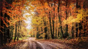 Farmers’ Almanac Predicts A Dramatic Fall For Minnesota