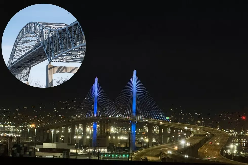 Two Designs In The Running For Blatnik Bridge Replacement