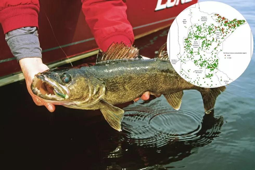 Fish Consumption Limits Issued For Northeast Minnesota Waters