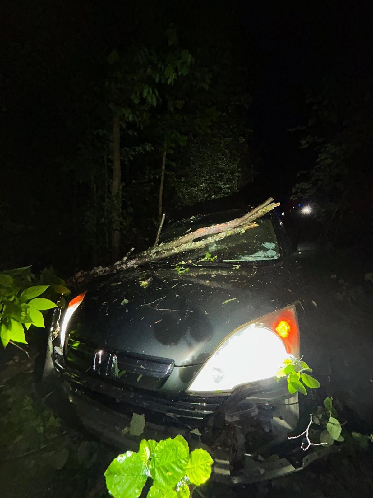 Hermantown Police Arrest Driver After DUI Crash Into Trees Hermantown Police Arrest Driver After DUI Crash Into Trees