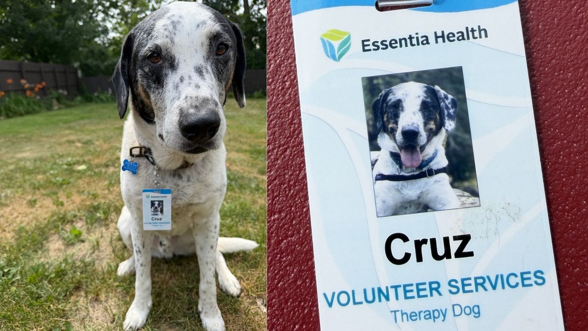 Minnesota-Based Essentia Health Now Seeking Pet Therapy Dog Teams Minnesota-Based Essentia Health Now Seeking Pet Therapy Dog Teams
