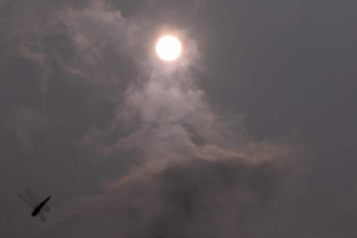 How The EPA Says To Protect Your Lungs From Wildfire Smoke How The EPA Says To Protect Your Lungs From Wildfire Smoke