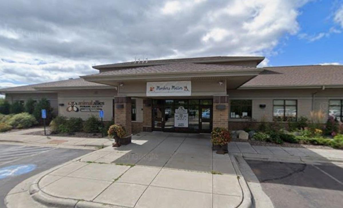 Animal Allies Shares Heartbreaking Story After Dog Dies In Lobby Animal Allies Shares Heartbreaking Story After Dog Dies In Lobby