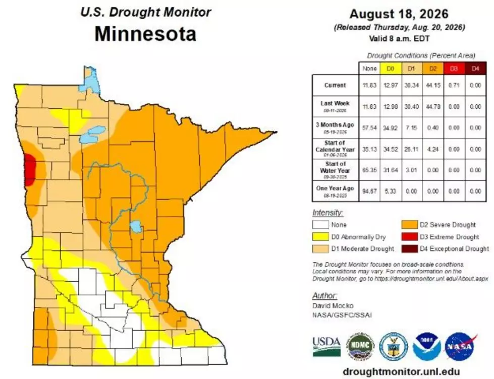 Minnesota DNR