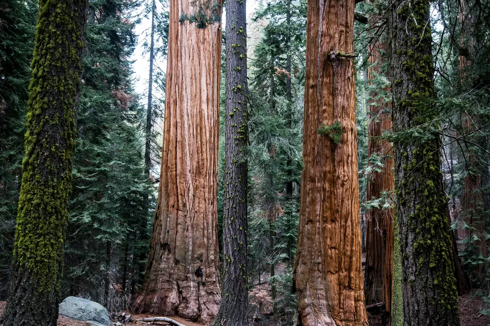 Courtesy of Josh Carter via Unsplash