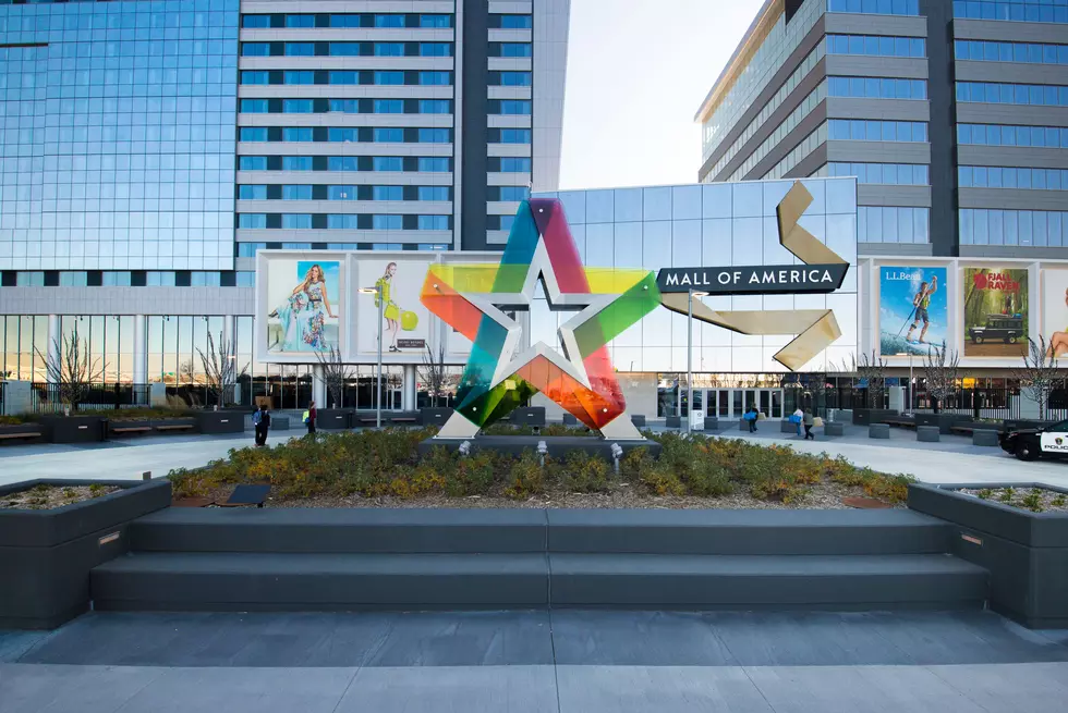 New, First-of-Its-Kind Restaurant Coming To Minnesota’s Mall of America