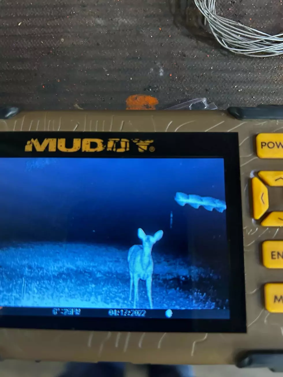 Mystery Lights Found On Trail Camera In Duluth Township