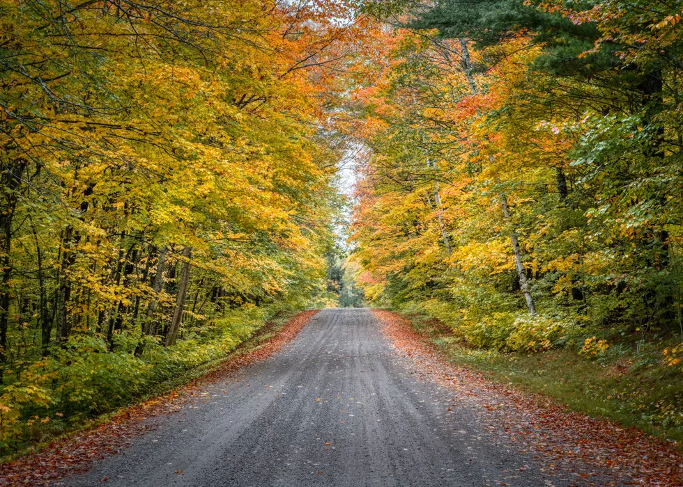 Airbnb Names This Wisconsin City One Of The Best Fall Getaways